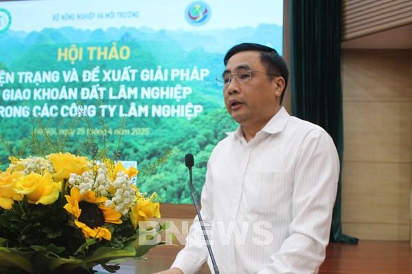 Tăng hiệu quả giao khoán đất trong các công ty lâm nghiệp