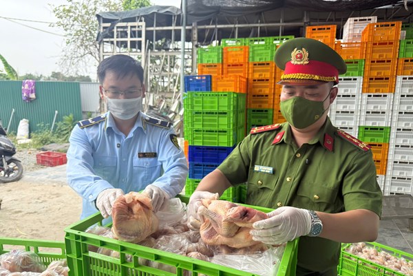 Ngăn chặn hàng chục tấn gà không đảm bảo chất lượng chuẩn bị tuồn ra thị trường