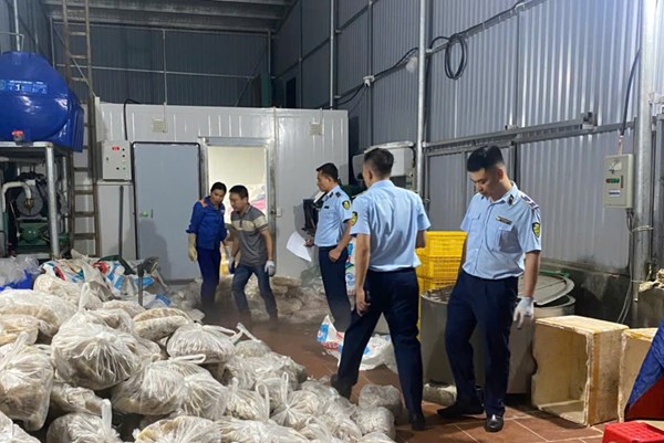 Phát hiện gần 11 tấn thịt và nội tạng bò không rõ nguồn gốc trong 3 kho lạnh tại Hà Nội