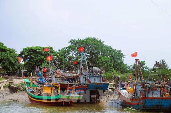 Nghệ An cấm tàu thuyền ra khơi từ 5 giờ ngày 24/8
