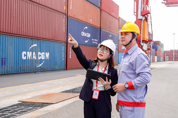 Cảng Chu Lai ứng dụng ERP, nâng cao chất lượng dịch vụ logistics