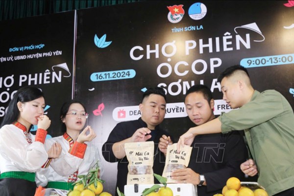 Thanh niên xung kích ứng dụng công nghệ số trong xây dựng nông thôn mới