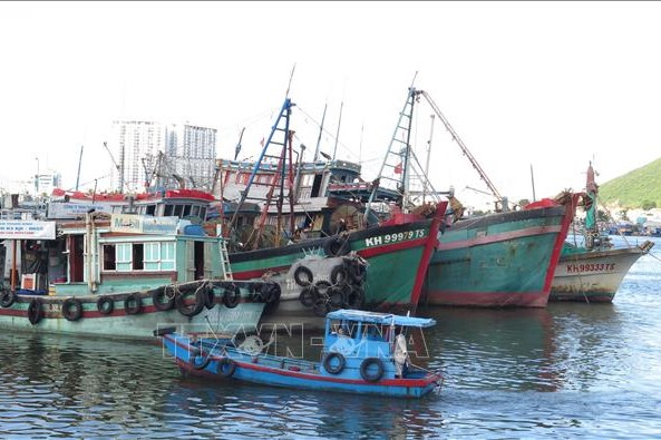 Nhiều chuyển biến tích cực trong quản lý tàu cá 