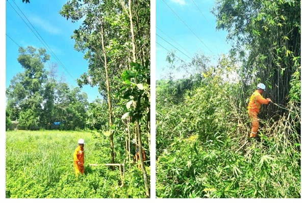 Các giải pháp đảm bảo hành lang lưới điện cao áp