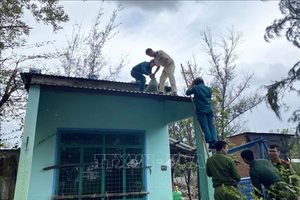 Mùa mưa bão năm 2025: Diễn biến khó lường, khó đoán định