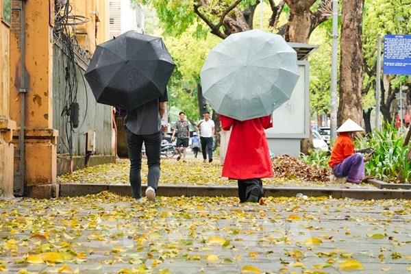 Hà Nội đẹp dịu dàng mùa lá rụng