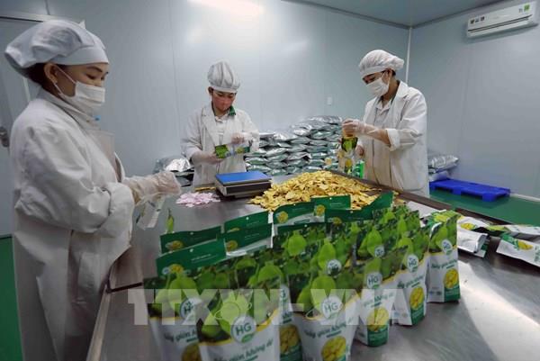 Chuyển đổi số và ứng dụng công nghệ là nhiệm vụ then chốt phát triển hợp tác xã