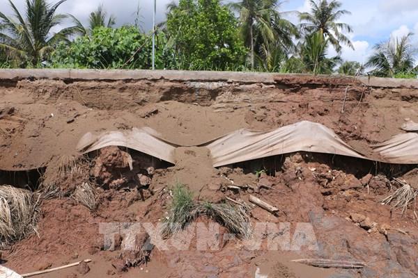 Sạt lở nghiêm trọng trên đê sông Tả Hữu Cù Lao Dung