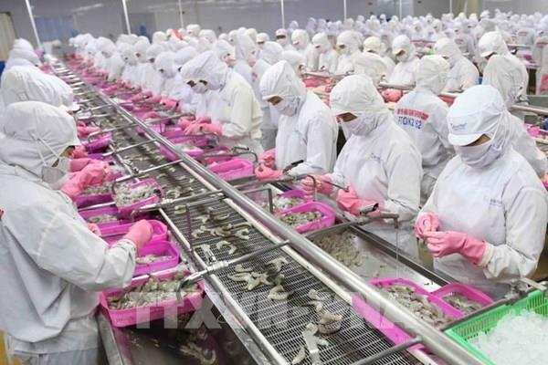 Thủy sản Việt Nam tìm cách thoát “bẫy phụ thuộc”