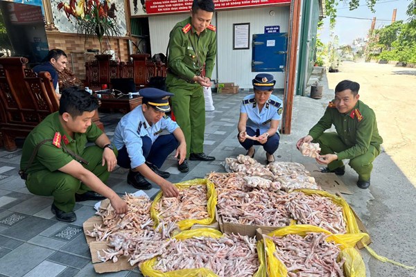 Phát hiện gần 500kg chân gà, đuôi lợn không rõ nguồn gốc xuất xứ