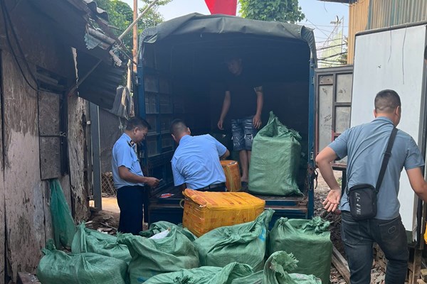 Tạm giữ 800 kg trứng gà non, tràng gà đông lạnh không rõ nguồn gốc