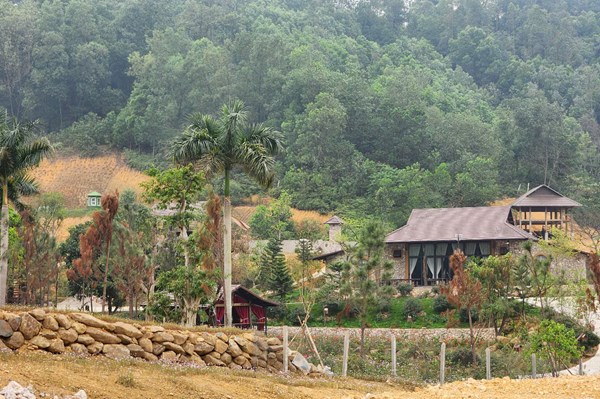 Hà Nội xử lý thông tin từ báo chí về chiếm đất rừng và san lấp đất nông nghiệp