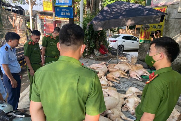 Xử lý gần 800 kg thịt lợn bẩn trước khi ra thị trường