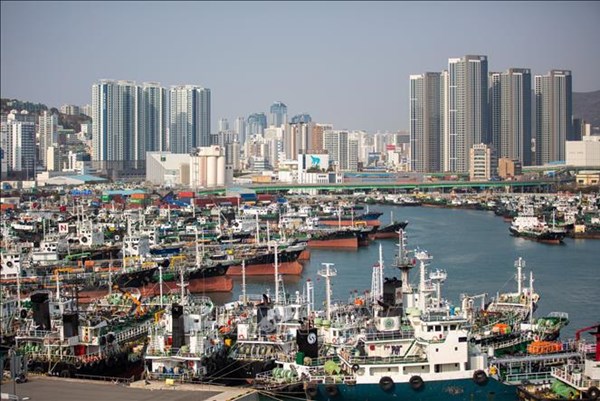 Hàn Quốc để ngỏ khả năng mở cửa thị trường nông sản