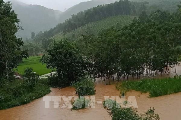 Mưa lớn gây thiệt hại hơn 5ha nông nghiệp ở Yên Bái