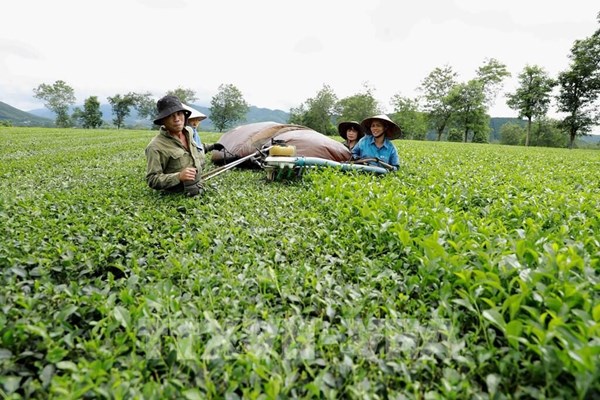 Phú Thọ: Chuyển đổi số làm thay đổi cách thức sống và làm việc của người dân