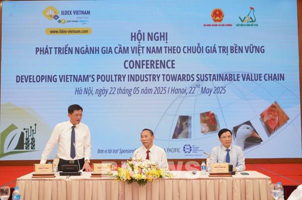 Liên kết chuỗi giá trị ngành gia cầm còn quá ít