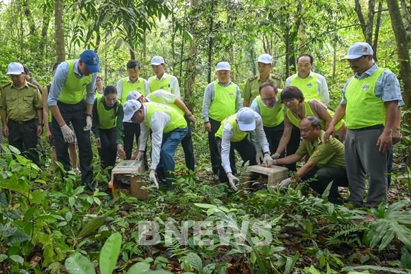 Cúc Phương – nơi gìn giữ đa dạng sinh học