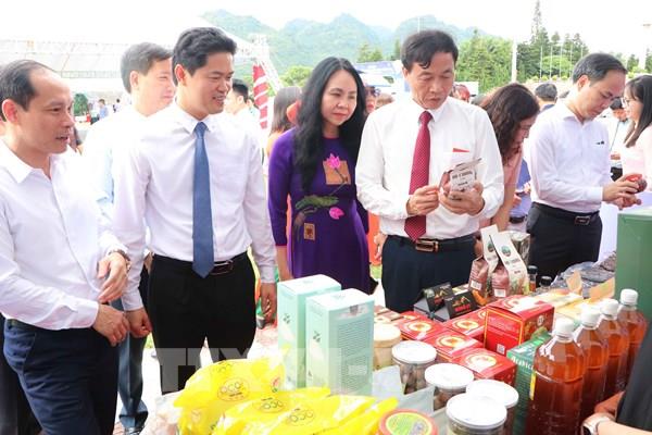 Liên kết vùng để thúc đẩy thương mại điện tử vùng trung du và miền núi phía Bắc