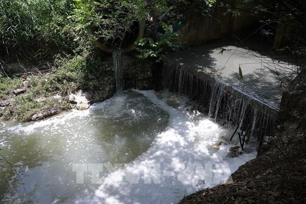 Nguyên nhân nào khiến sông Vàm Cỏ Đông bị ô nhiễm?