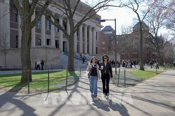 Kinh tế Mỹ thiệt hại 1,1 tỷ USD do mức giảm sâu số sinh viên quốc tế 