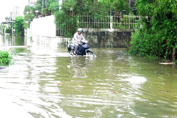 Đắk Nông và Quảng Ngãi có nơi mưa trên 70 mm, nguy cơ lũ quét, sạt lở