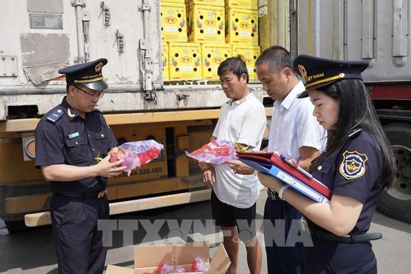 Hải quan ngăn chặn nhiều vụ vi phạm về xuất xứ hàng hóa