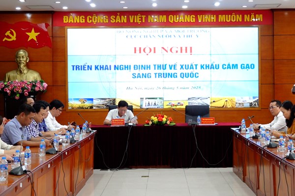 Đẩy mạnh xuất khẩu cám gạo sang Trung Quốc