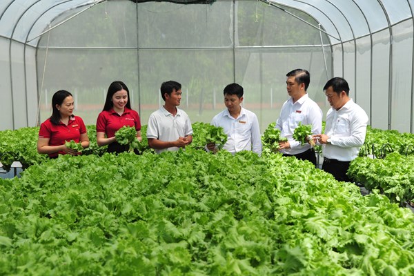 Khơi dòng vốn xanh, tiếp sức nông nghiệp chuyển đổi mô hình