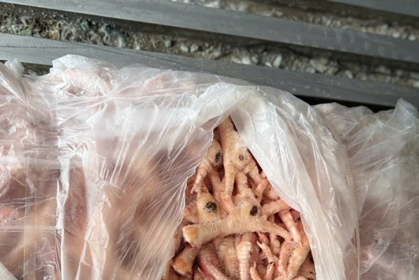  Phát hiện 1.560 kg chân gà đông lạnh không rõ nguồn gốc