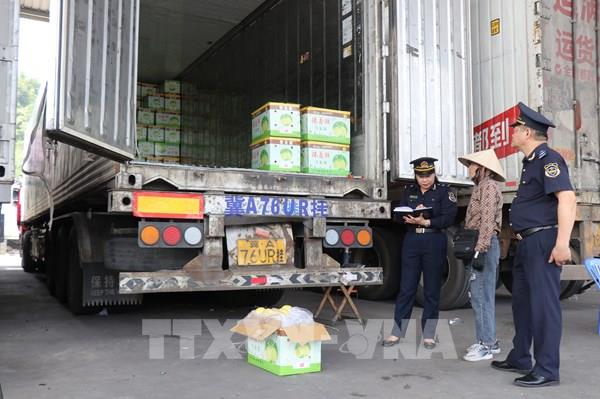 Bộ Công Thương triển khai cao điểm chống buôn lậu, hàng giả dịp Tết Nguyên đán 2026