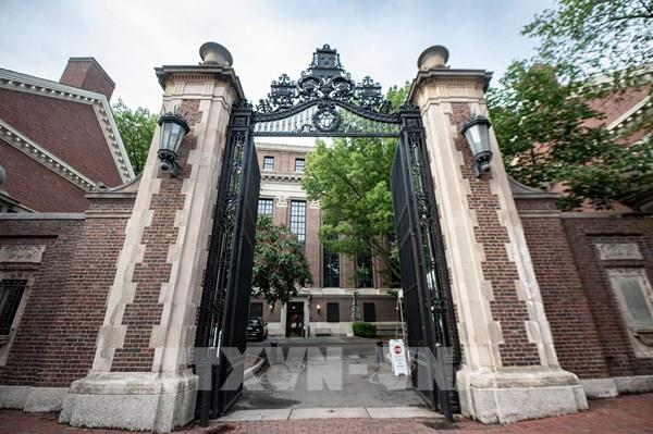 S&P: Xếp hạng tín nhiệm của Đại học Harvard vẫn AAA bất chấp căng thẳng với chính quyền
