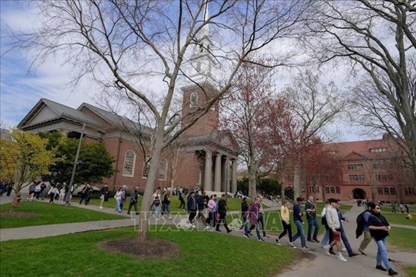 Những điều sinh viên quốc tế ở Mỹ cần biết sau lệnh cấm Đại học Harvard tuyển du học sinh