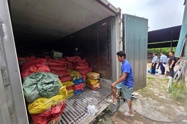 Thu giữ hơn 33 tấn thực phẩm đông lạnh bốc mùi, không rõ nguồn gốc