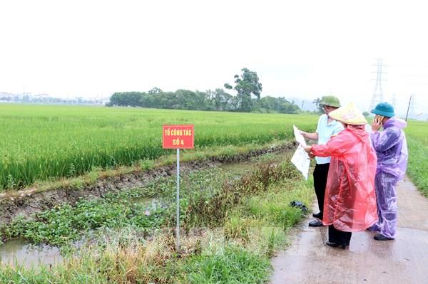 Hoàn thành thu hồi đất thực hiện dự án Khu đô thị sinh thái Chí Linh