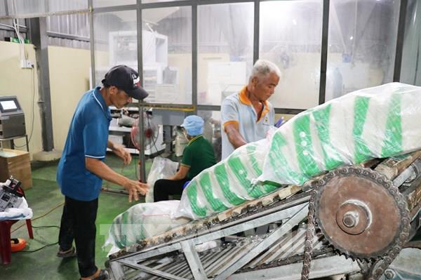 Giá gạo xuất khẩu đã giảm gần 19%