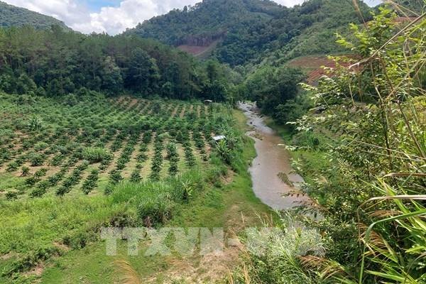 Kon Tum: Nhiều sai phạm ở thủy điện nhỏ