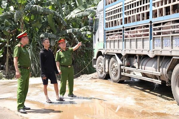 Hà Tĩnh phát hiện xe tải chở 180 con lợn mắc dịch tả châu Phi đi tiêu thụ