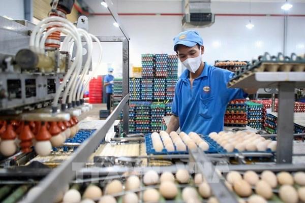 TP. Hồ Chí Minh loay hoay xây dựng chuỗi thực phẩm an toàn