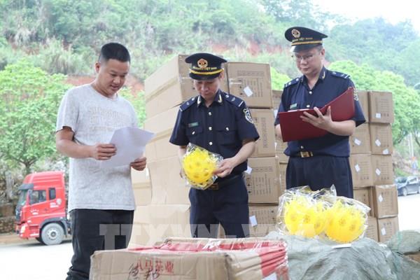 Cao điểm chống buôn lậu: Thu thập thông tin hàng hóa có độ rủi ro cao