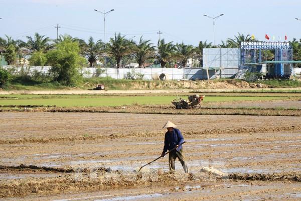 Vụ Hè Thu ở Trung Bộ: Có nguy cơ thiếu nước khi vào cao điểm mùa khô