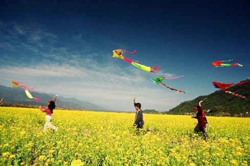 Nghỉ hè 2025: Du lịch kết hợp trải nghiệm thiên nhiên cùng các bạn nhỏ