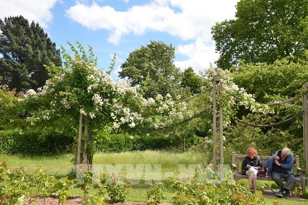 Anh và Tây Ban Nha ghi nhận nhiệt độ kỷ lục trong mùa Xuân 2025