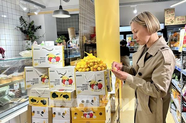 Quan hệ thương mại Việt Nam - Pháp: Đòn bẩy từ lĩnh vực tiềm năng