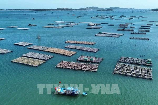 Phú Yên siết chặt nuôi thủy sản sau hợp nhất hành chính
