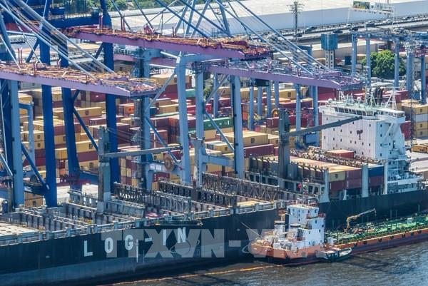 OECD hạ dự báo tăng trưởng kinh tế toàn cầu năm 2025 và 2026