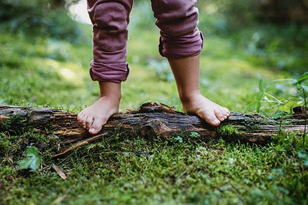 Gợi ý hoạt động vui chơi hè cho bé: Từ vườn rau đến sân chơi trí tuệ