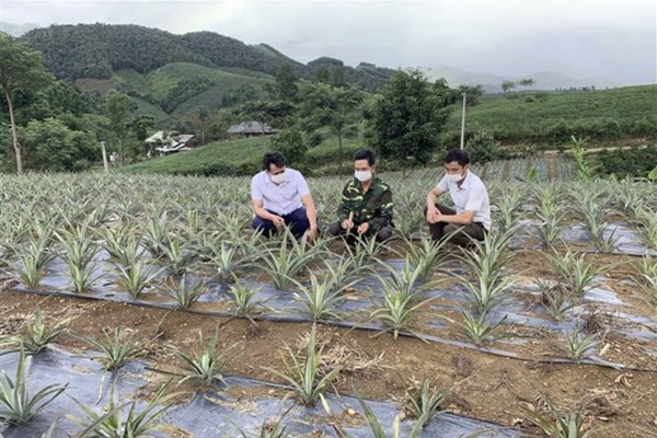 Thành lập Ban Chỉ đạo Trung ương các chương trình mục tiêu quốc gia giai đoạn 2021 - 2025