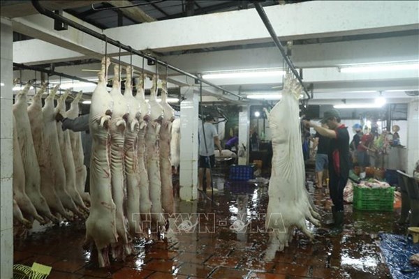 Chấn chỉnh quản lý hoạt động, quy trình kiểm soát giết mổ động vật