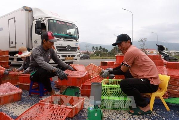 Kiến nghị áp dụng cơ chế đặc thù để xử lý vướng mắc dự án Bắc Lục Khẩu